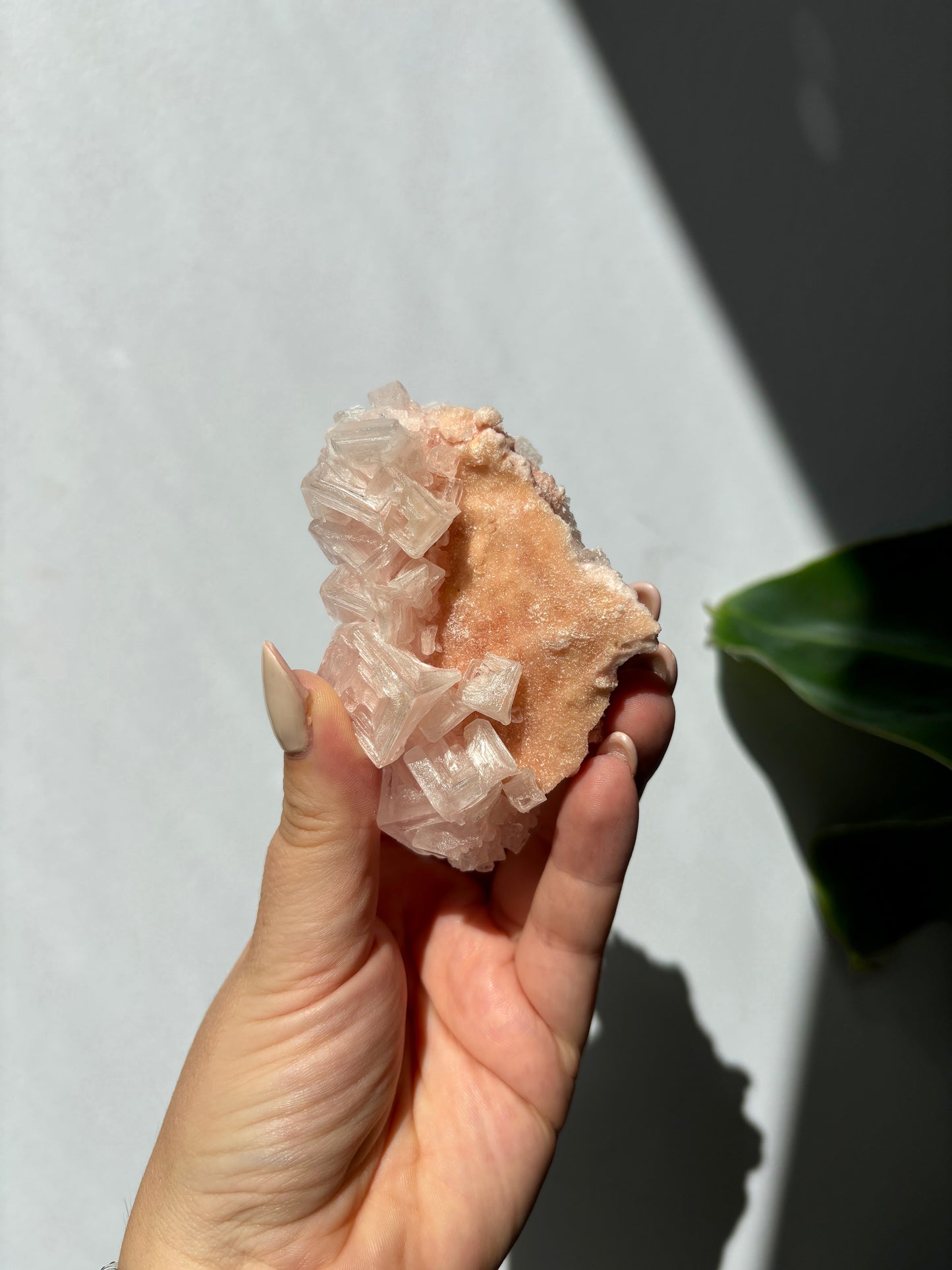 Pink Halite Cluster