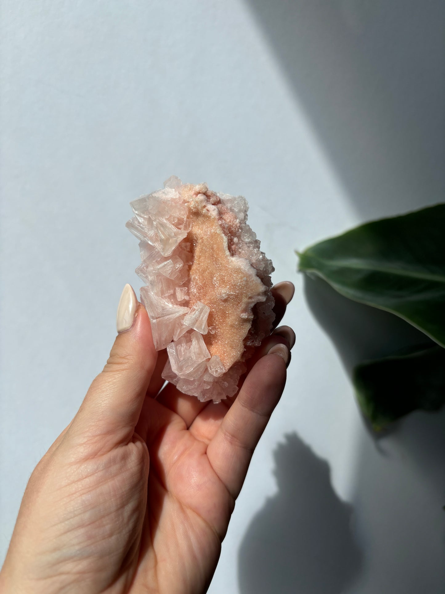 Pink Halite Cluster