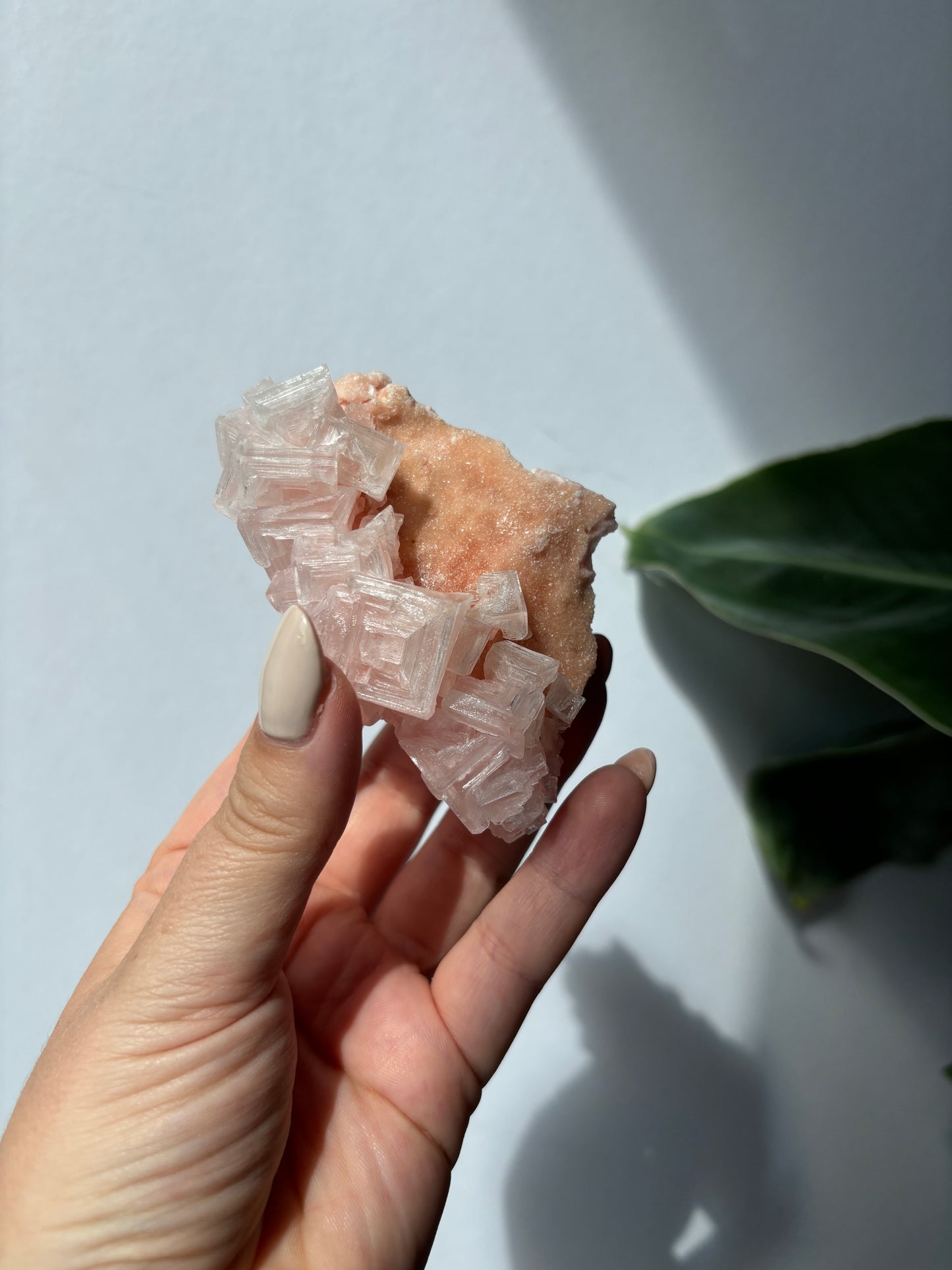 Pink Halite Cluster