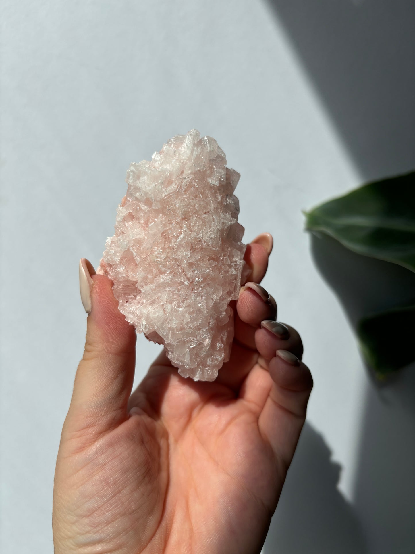 Pink Halite Cluster