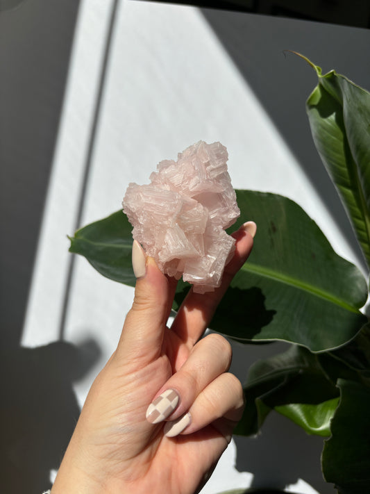 Pink Halite Cluster