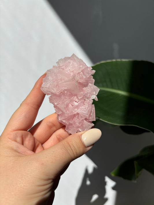 Pink Halite Cluster