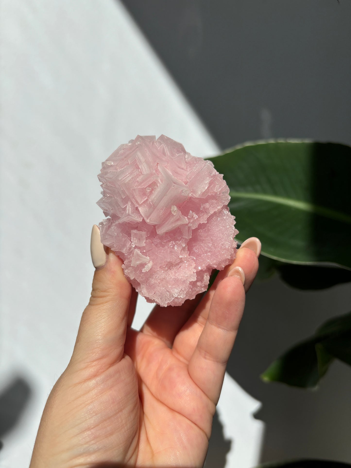 Pink Halite Cluster