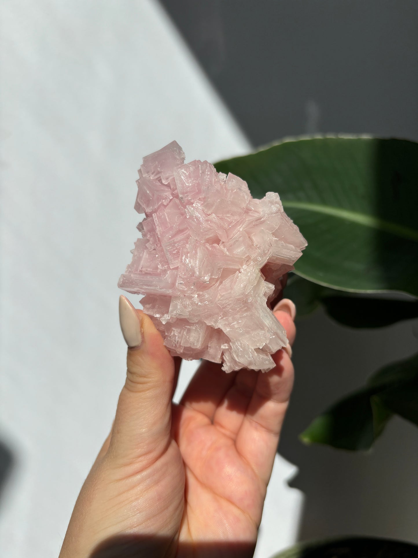 Pink Halite Cluster