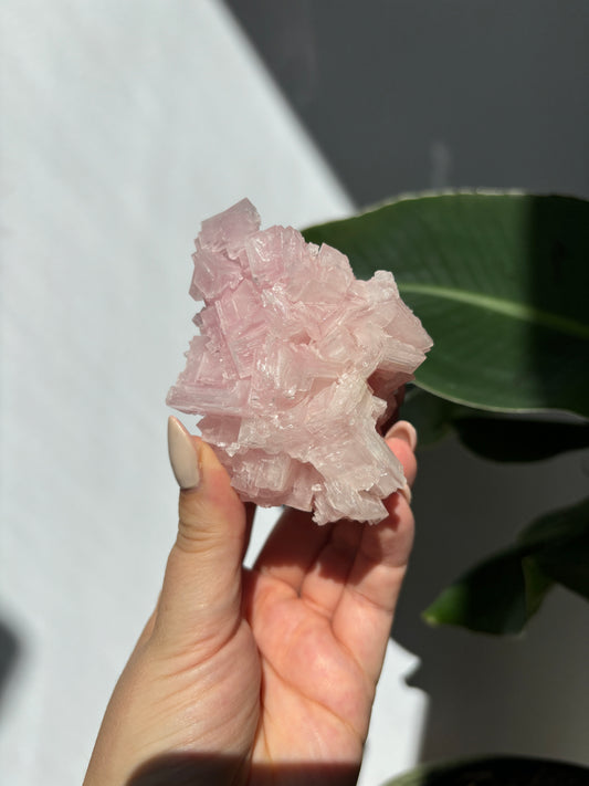 Pink Halite Cluster