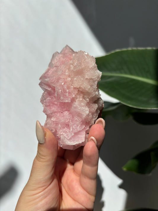 Pink Halite Cluster