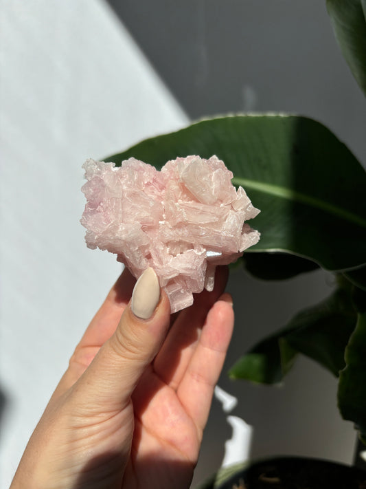 Pink Halite Cluster