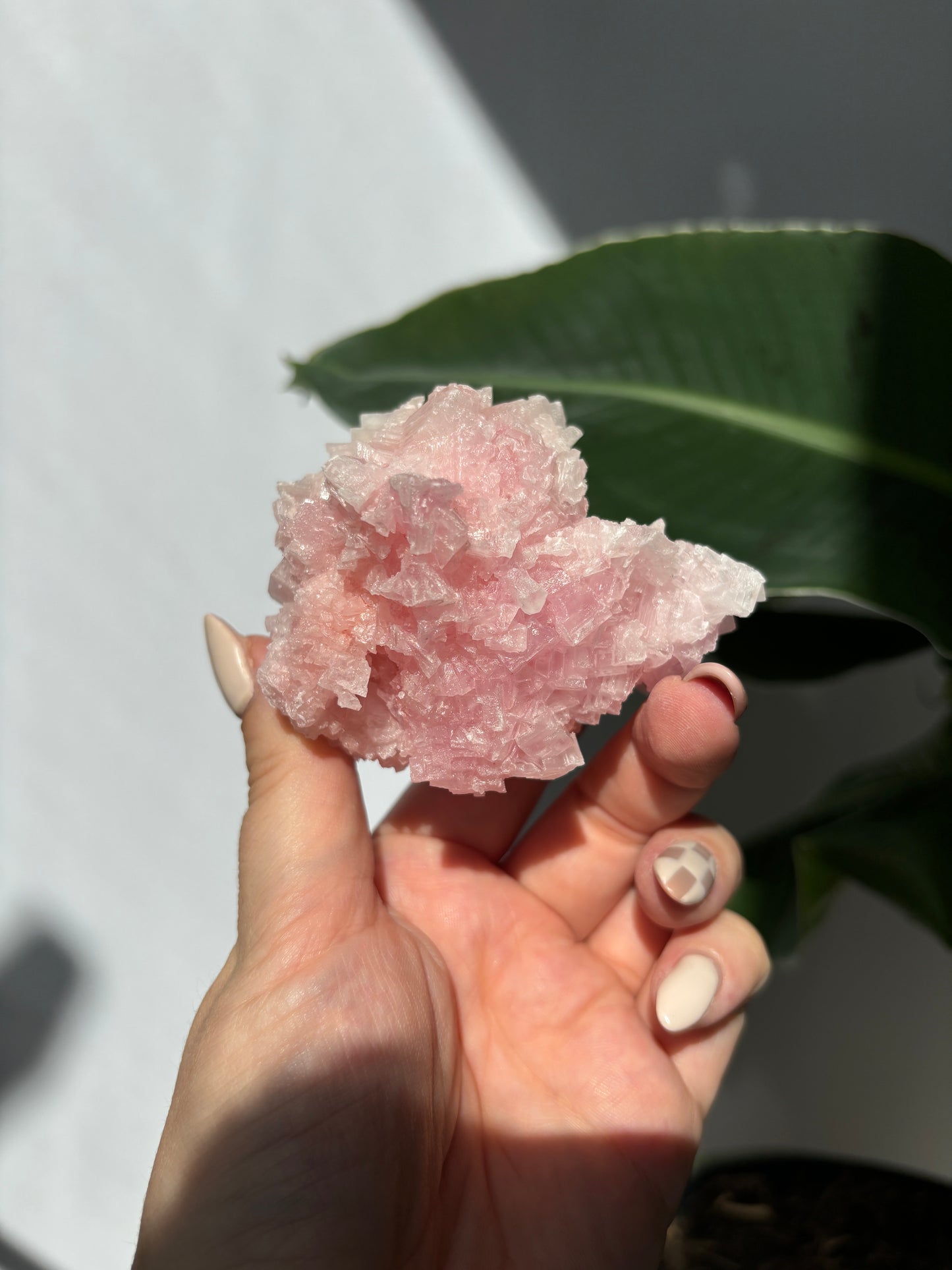 Pink Halite Cluster