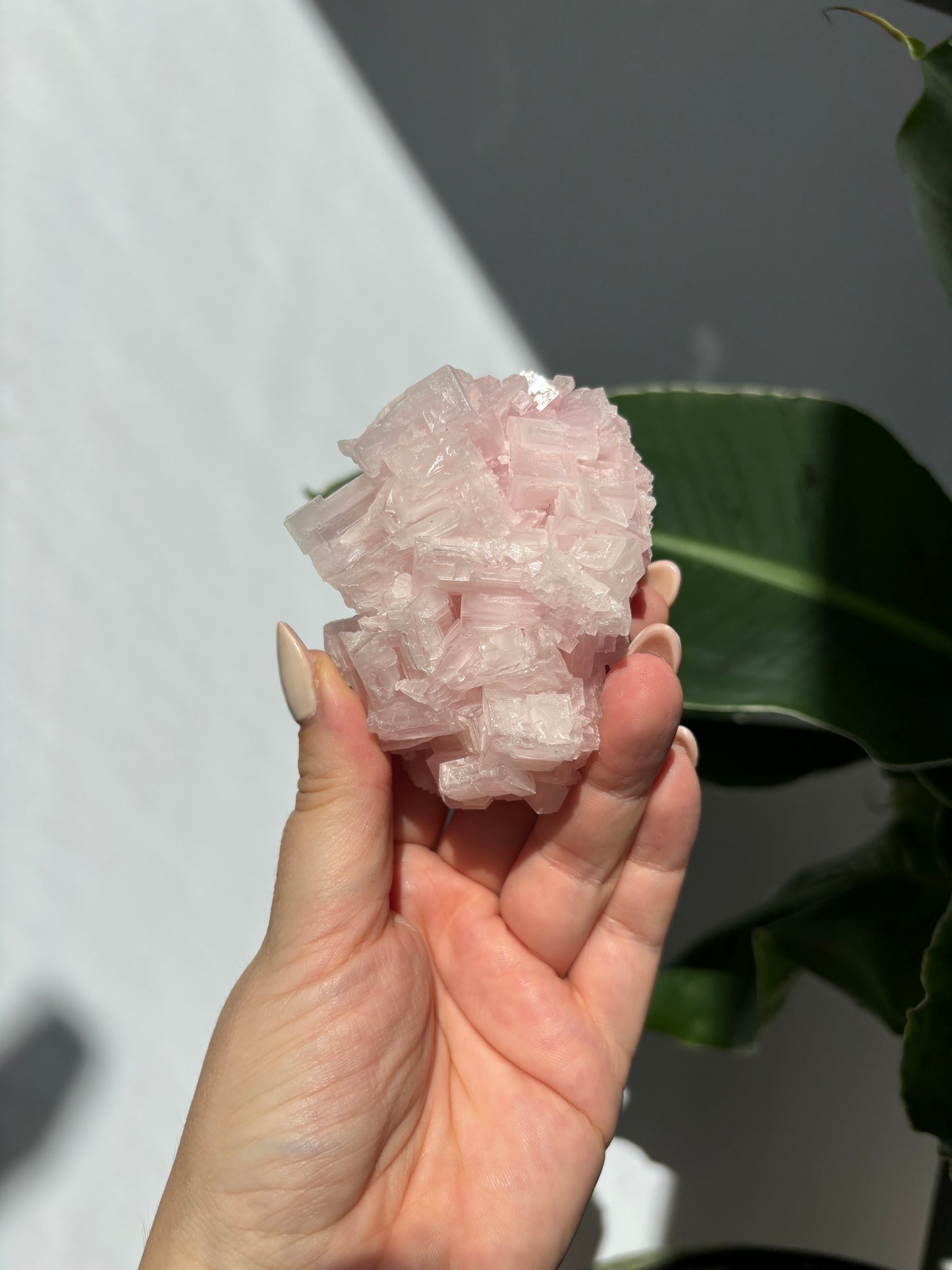 Pink Halite Cluster