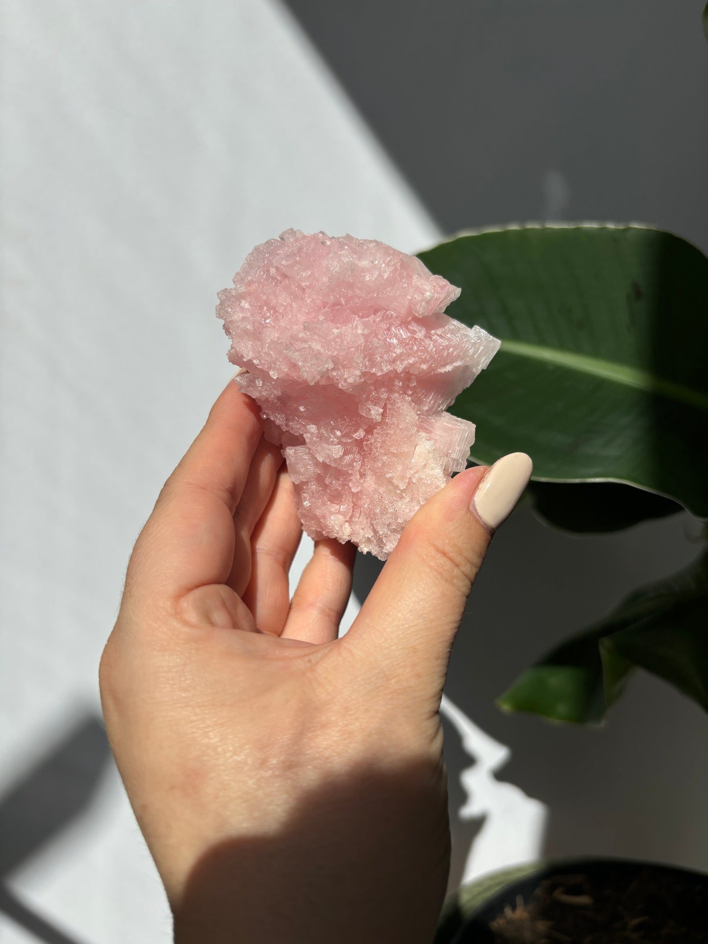 Pink Halite Cluster