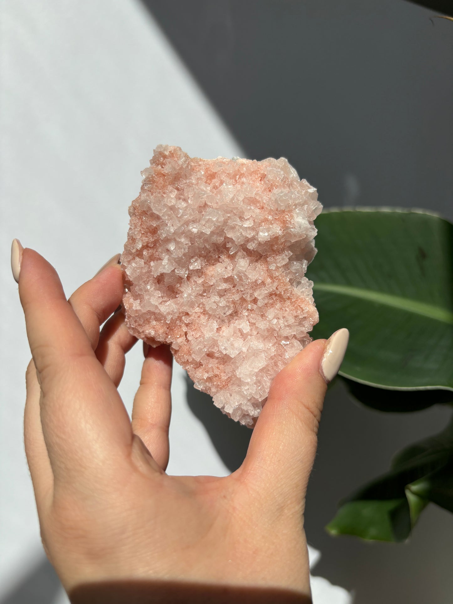 Pink Halite Cluster