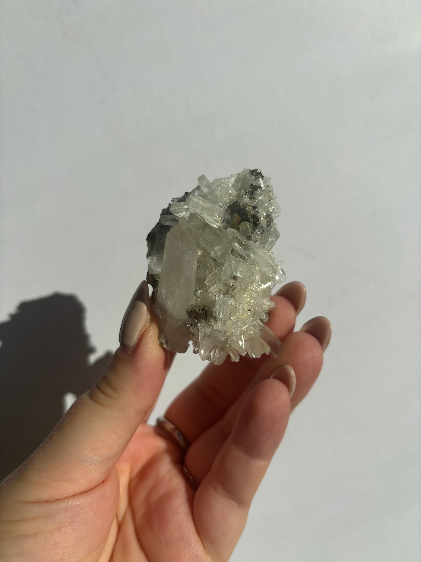 Pyrite in Quartz Cluster