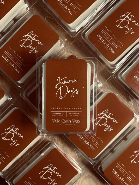 Autumn Days Fragranced Wax Melt Clamshell