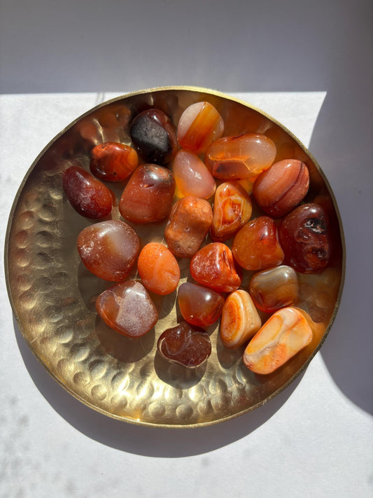 Carnelian Tumble | Crystal Tumblestone | Crystal Healing | High Quality Polished Pocket Worry Stone